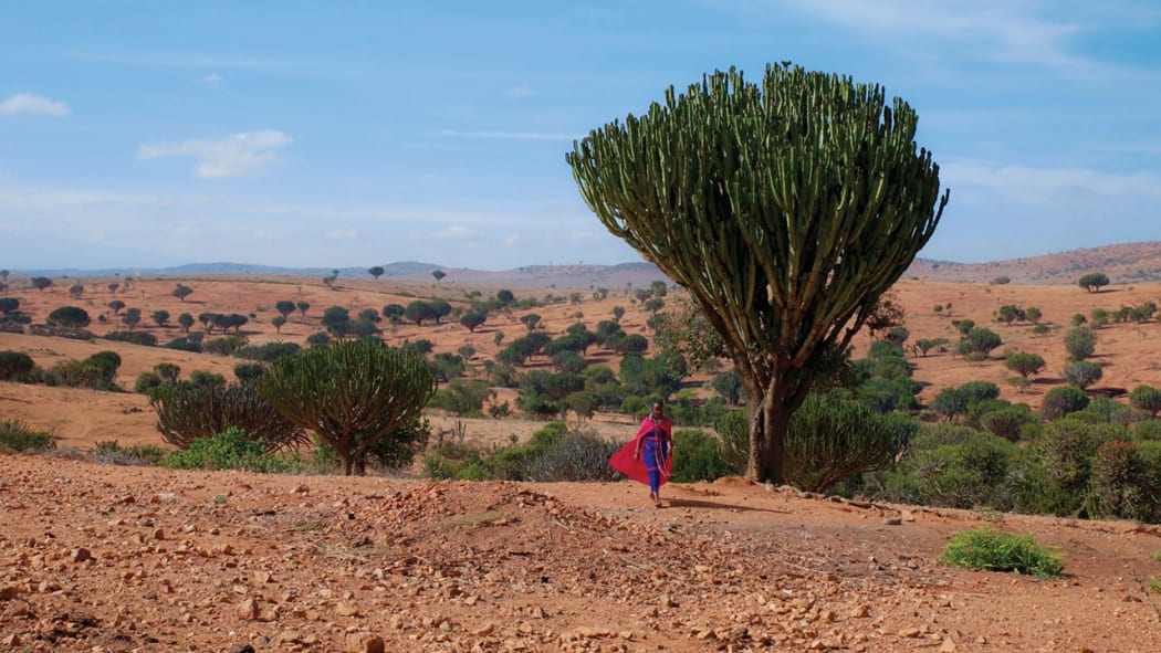 Still from the short documentary film Enchukunoto (The Return)