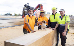 Creating a cubic metre of wood with Manulife foresters to show carbon sequestration