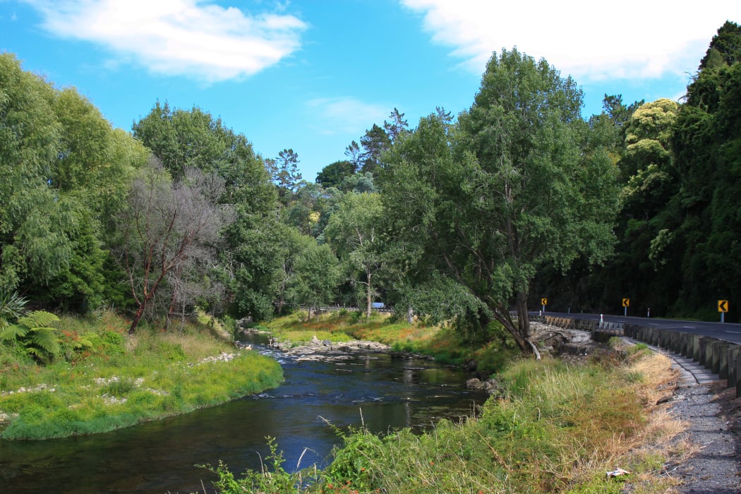 Ohinemuri River