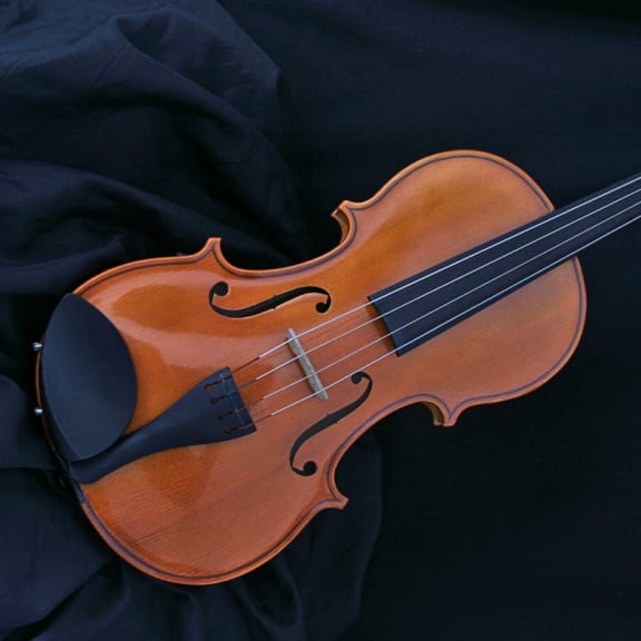 Photo for For love of the ... viola