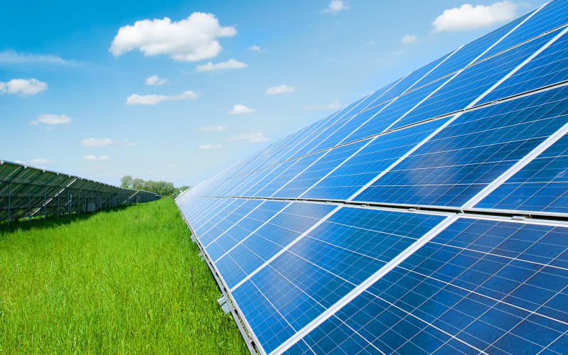 Genesis announces plans for three new solar energy farms | RNZ