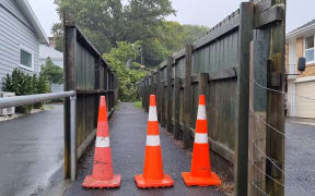 A fallen tree on a property in Mt Albert after Auckland's second night of heavy rain.