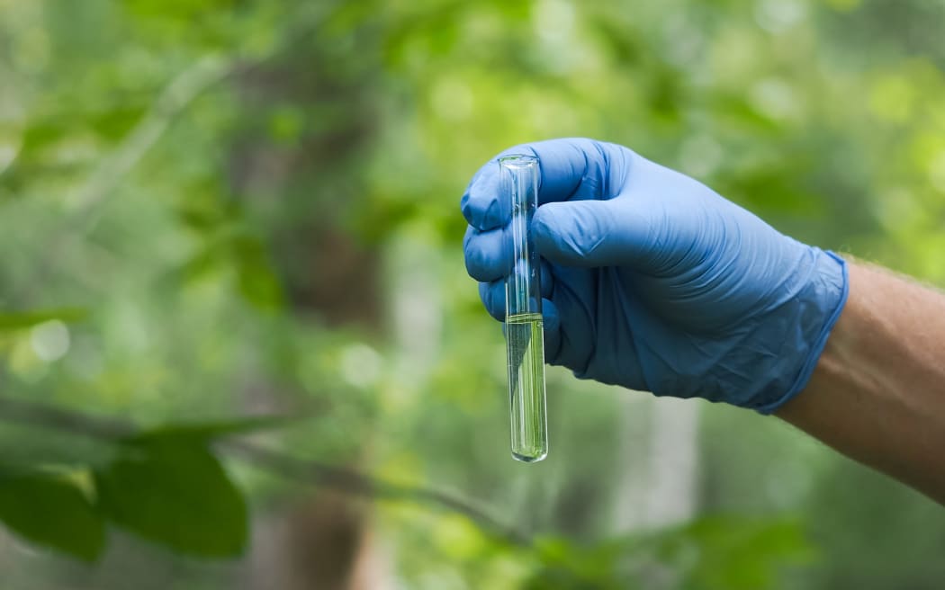 Gloved hands holding a test tube of clear liquid. Natural background - grass, trees. In vitro water, forests reflection. Concept - clean water, water quality, ecology, environment