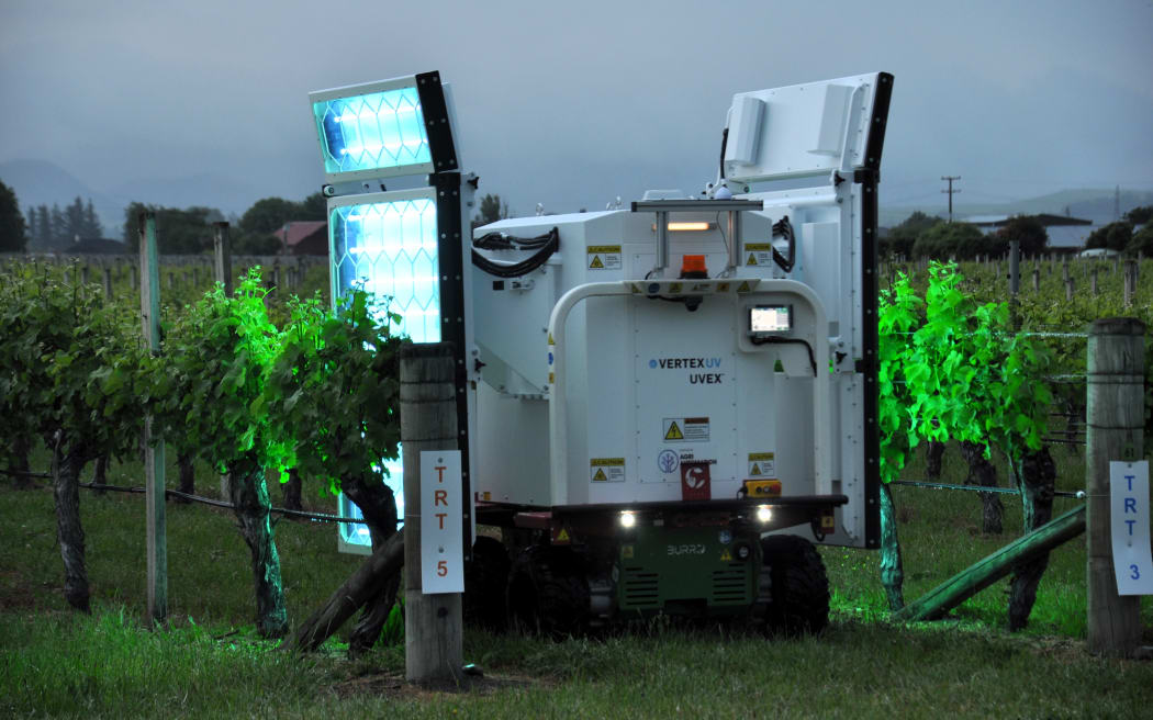 A robot with a UV-light panel attached to its side, drives down a row of vines.