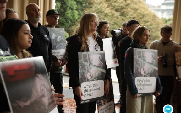 A petition launched by a group of animal protection organisations was taken to Parliament on Tuesday calling on the Government to establish the parliamentary commissioner role.
