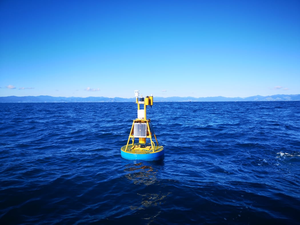 Buoys that are being used to measure water conditions - wave action, etc - to help design the best structures for use in open ocean aquaculture.
