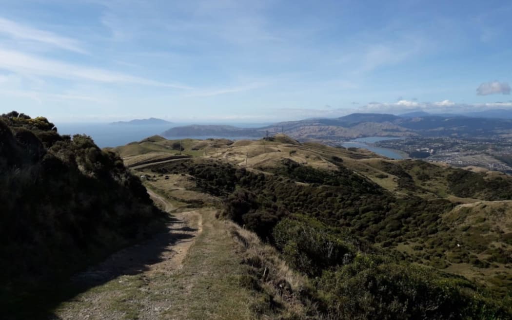 Rangituhi Hill.