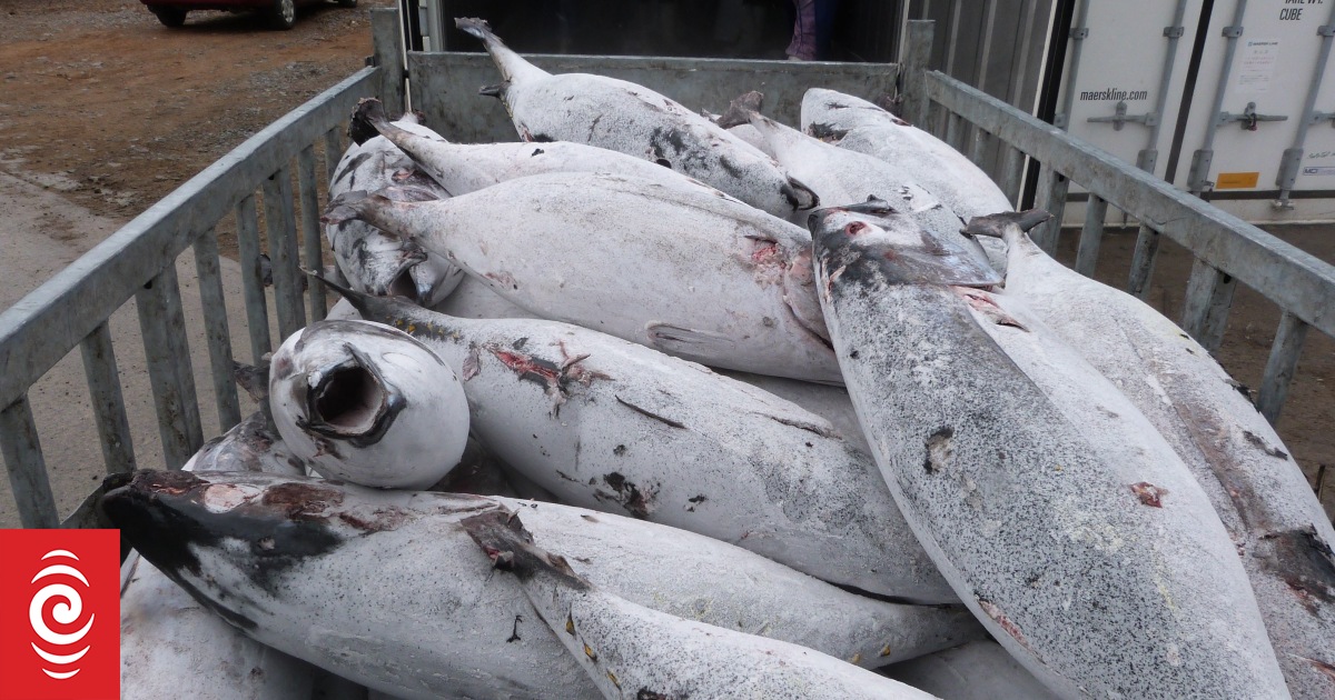 Pacific fisheries commission hopes to adopt albacore tuna harvest plan