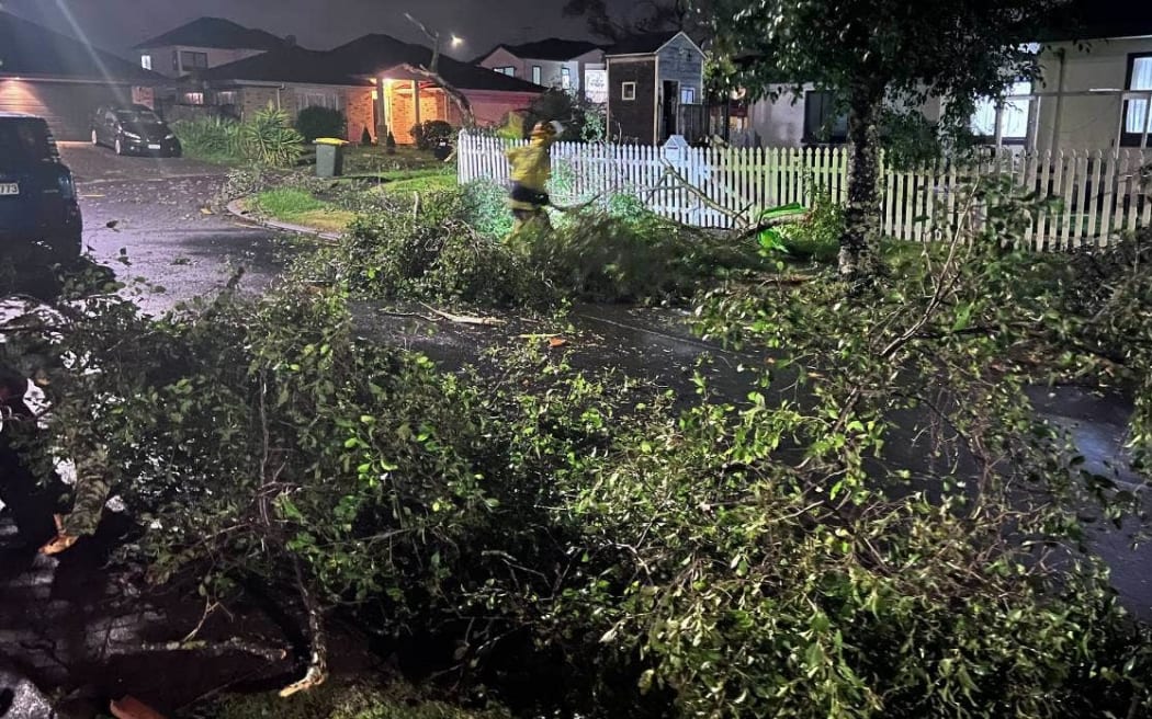 Erne Cres, East Tāmaki, after a tornado struck on Sunday night.