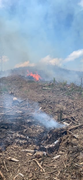 Fire and Emergency crews battle scrub fires in Northland.
