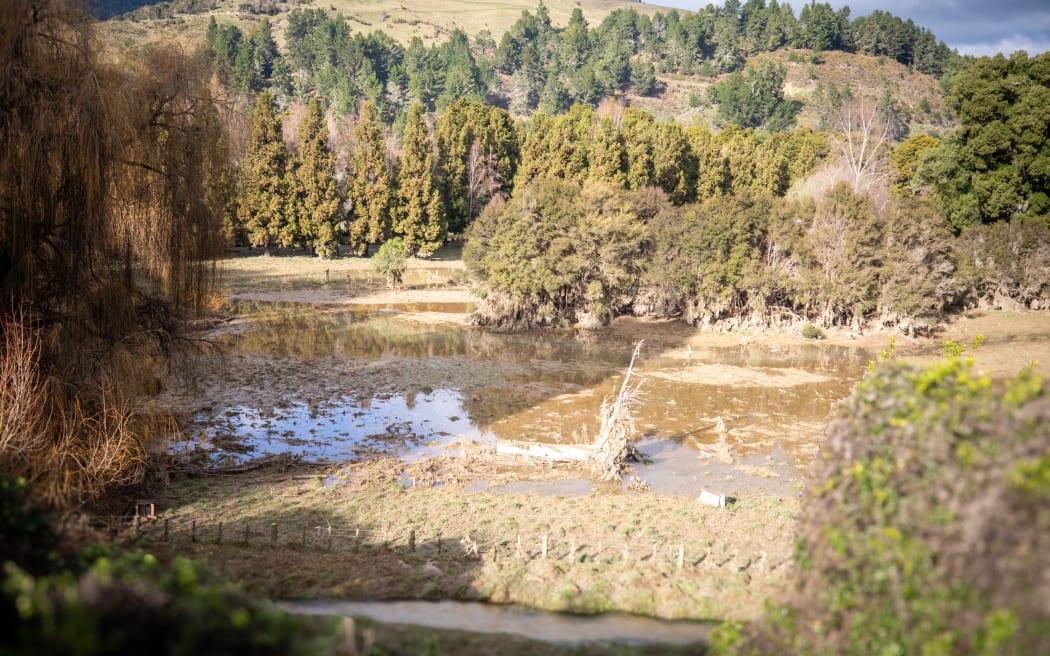 Motueka Valley