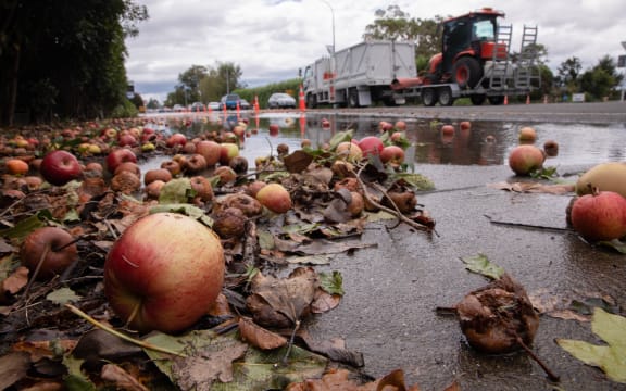 A flooded orchard and apples strewn over the road just outside Hastings.