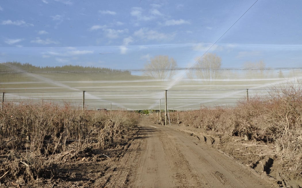 Mud and silt spread across Mill Creek Orchard in Motueka