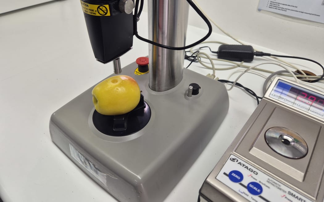 Some of the technology used to help assess the different characteristics of fruit being developed.