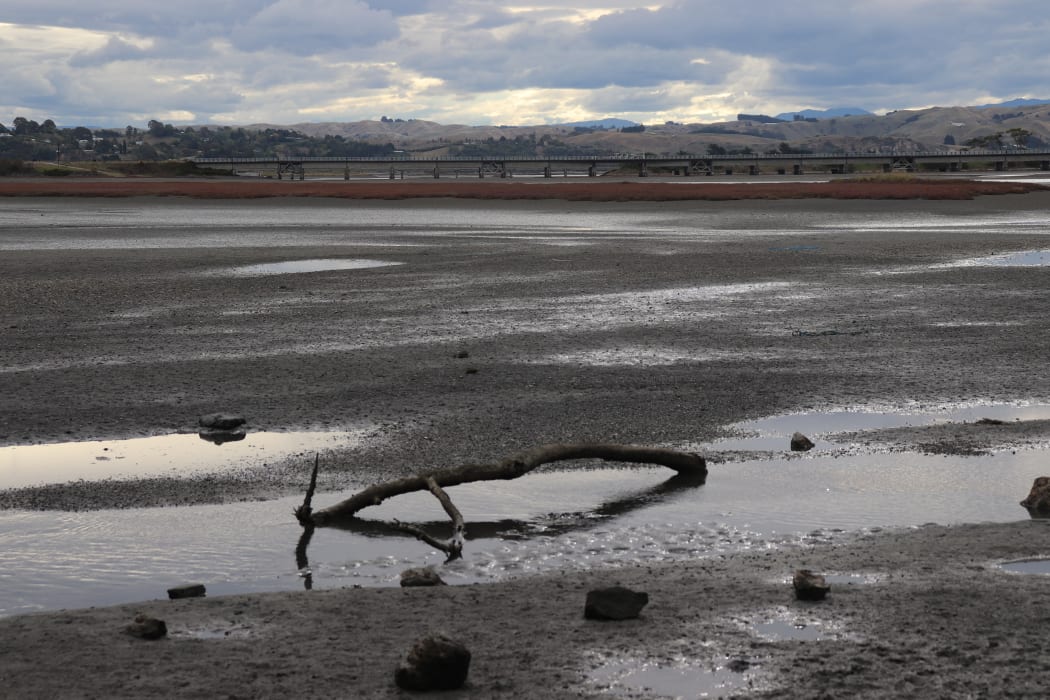 The Ahuriri Estuary, or Te-Whanganui-a-Orotū, lies on the edge of Napier around its seaside.