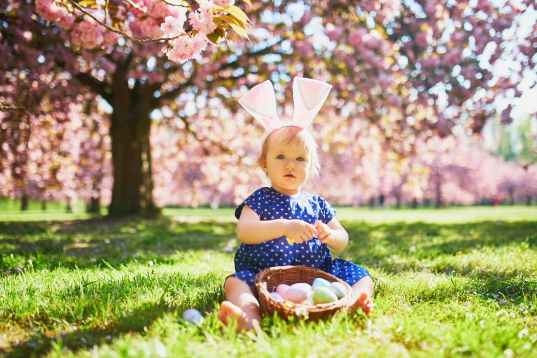 Toddler wearing bunny ears on egg hunt at Easter.