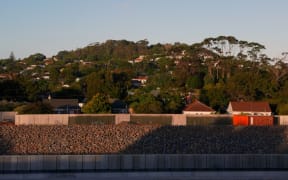 For 60 years the mountain on my horizon: Owairaka-Mt Albert
