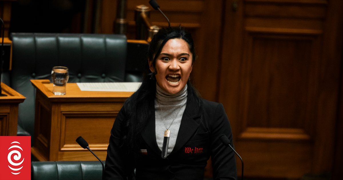 Treaty Principles Bill Te Pāti Māori, ACT both claim victory over