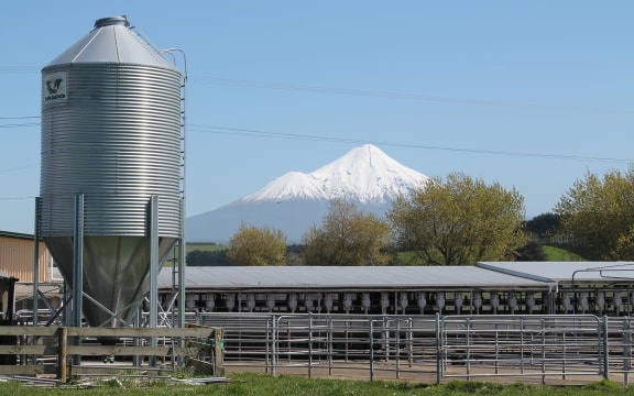 Taranaki Dairy farm