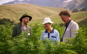 Tom Forrest, Dr Graham Gulbransen and Sank McFarlane at Puro's Kekerengu farm.