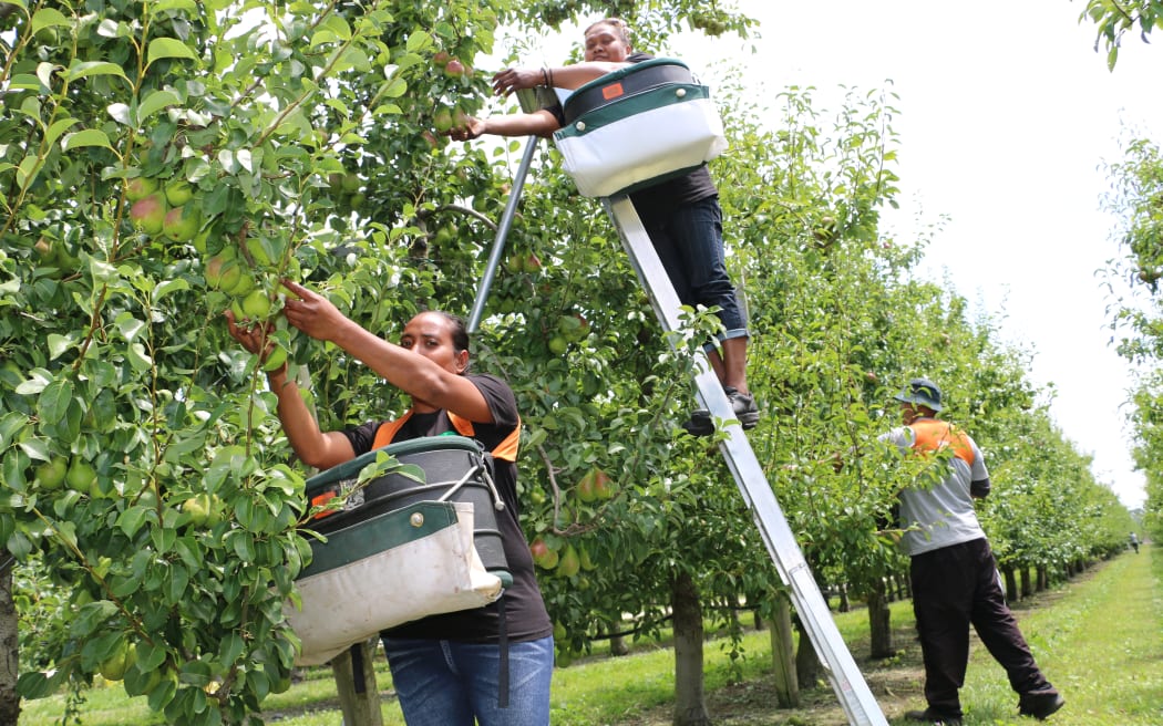 Janet and Roselyn at RJ Flowers Orchard in Hawkes Bay