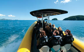 Bay of Islands Tourism