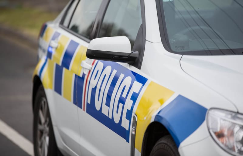 A police car parked on the street.