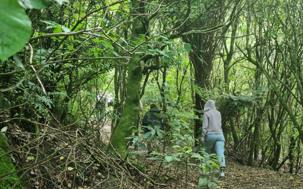 Volunteers are searching the bush tracks that run alongside the Hutt River, and the footpaths either side of the river.