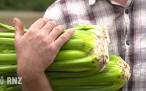 Show Us Your Invention: David Clarke's 'Celery Push Knife'