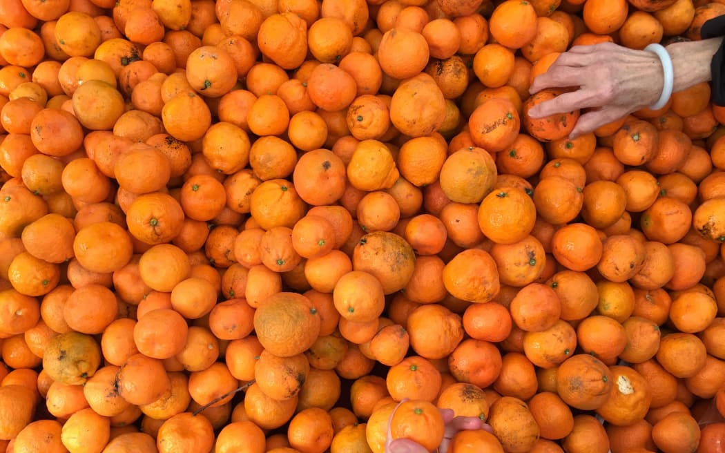 Citrus anyone?