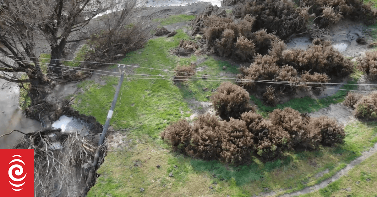 Drones linked to AI used to help fix power grids