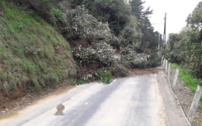Korokoro Road slip in Lower Hutt
