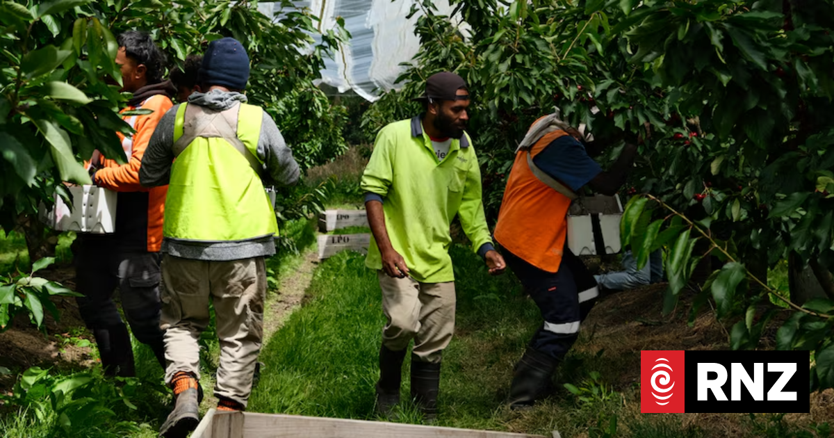 Pacific nations too dependent on seasonal worker schemes, labour expet warns