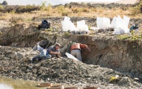 Paleontologists working at the St Bathans dig site