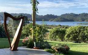Harp on patio.