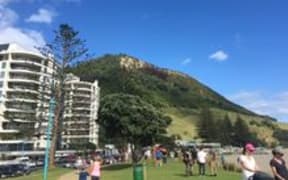 mt maunganui