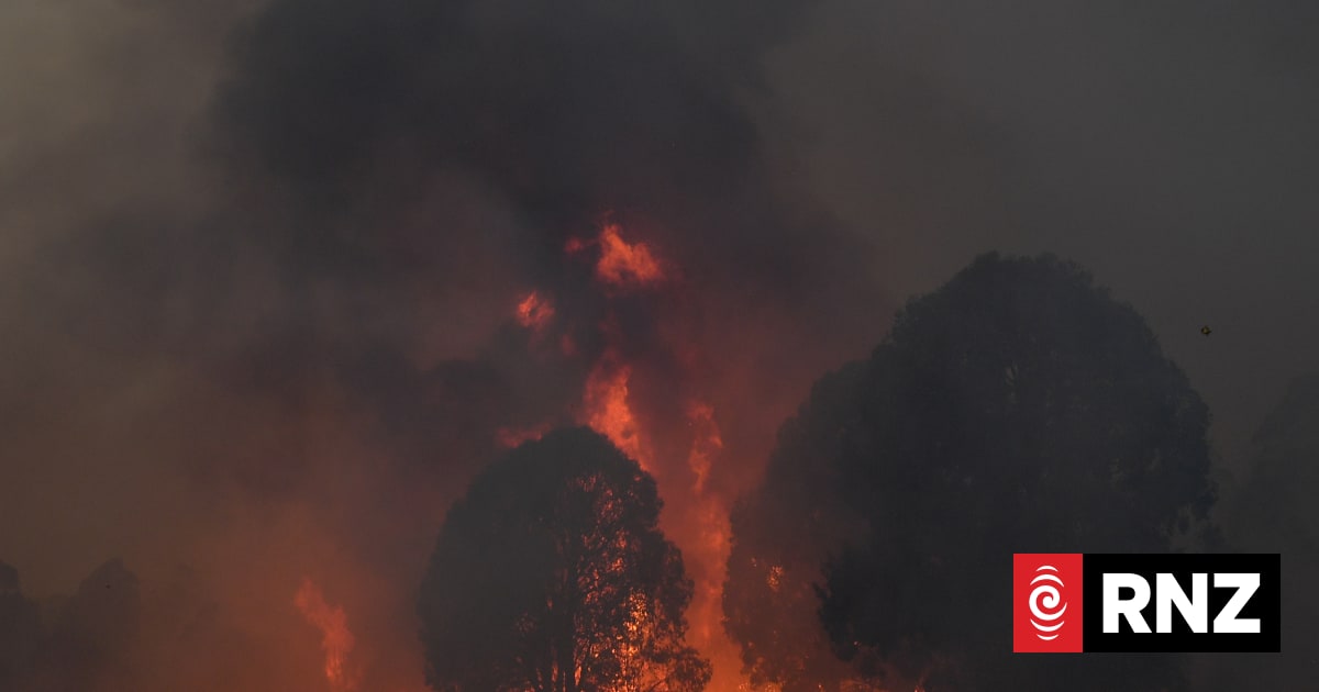 www.rnz.co.nz
