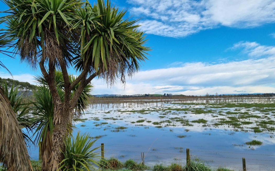 Floodwaters lingering in Clutha fields.