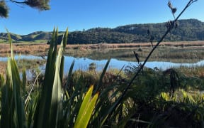 The Matuku Wetland retoration project has been recognised with an international award.