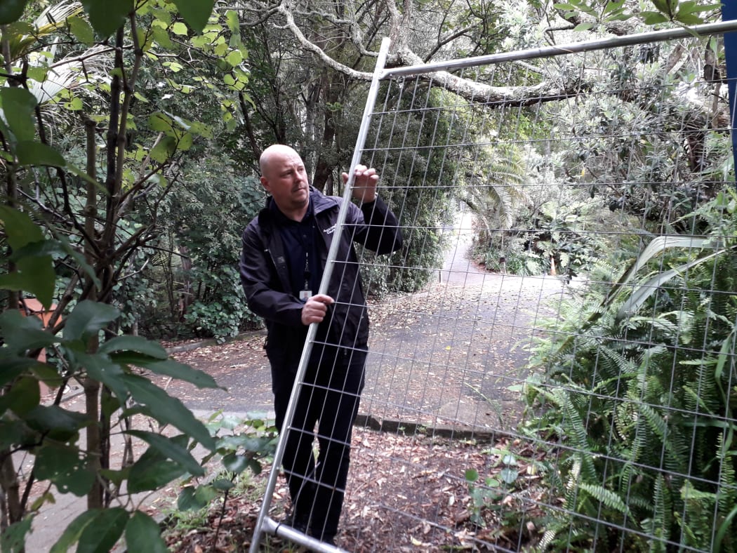 A park ranger holds a damaged fence at Kauri Glen.