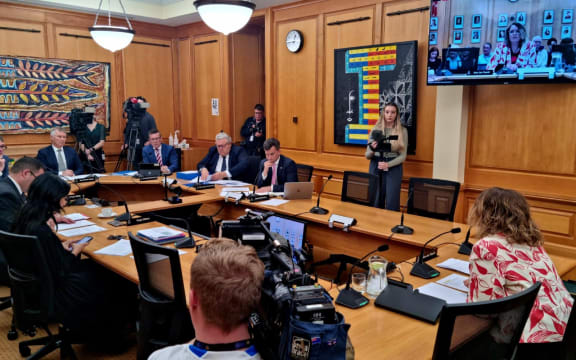 Jan Tinetti at the Privileges Committee hearing.