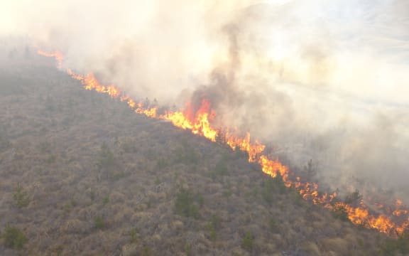 Supplied by Central Otago Wilding Conifer Control Group. Controlled burn of wilding pine at Central Otago 2025.