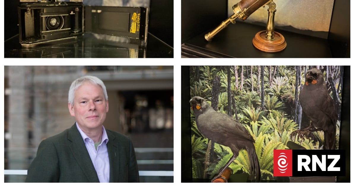 Fascinating objects on display for the first time, in new exhibition | RNZ
