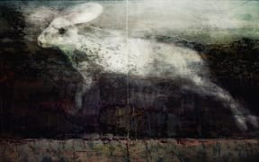 "Peter Lapin, looking for Wittgenstein in the afterlife - for Jan Harry"