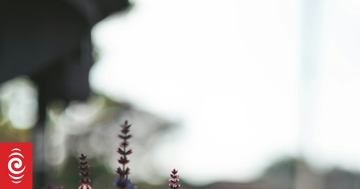 Sage advice: Why you should grow more herbs