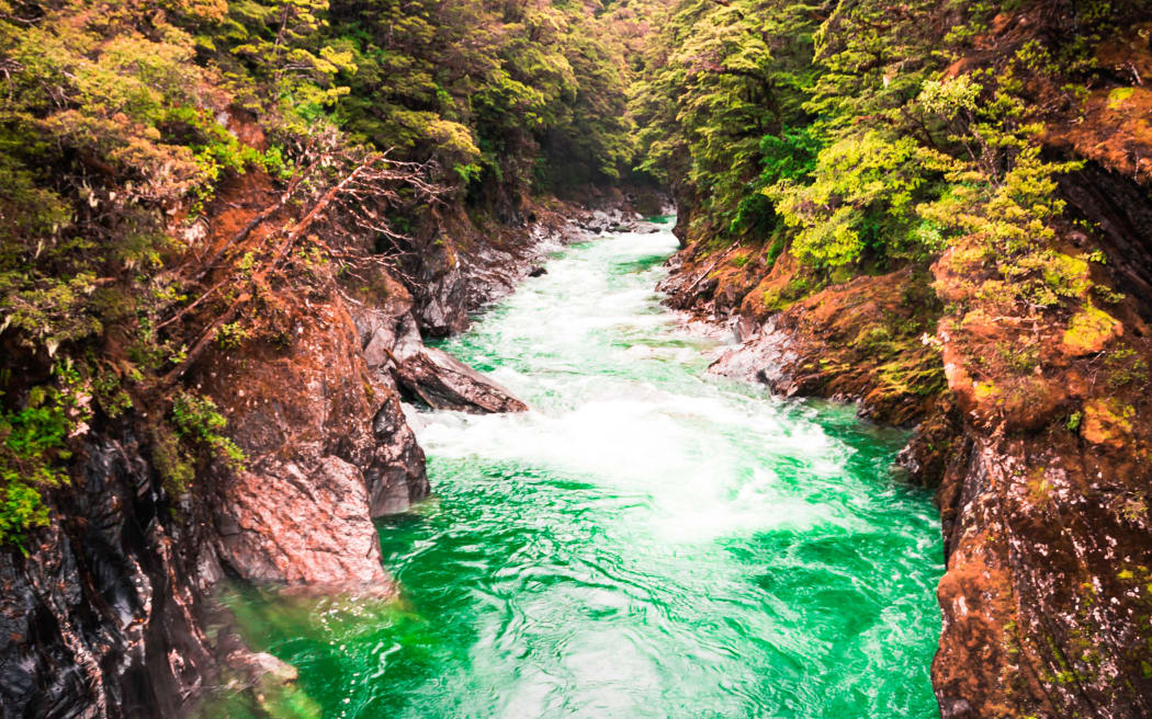 Blue Pools Walk, Mt Aspiring National Park, New Zealand