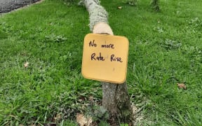 Protestor cuts down tree and leaves a 'no more rates rise' sign in its place.