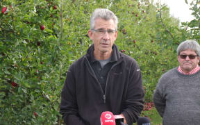 Bruce Mitchell says there just aren't enough workers to harvest his apples for export.