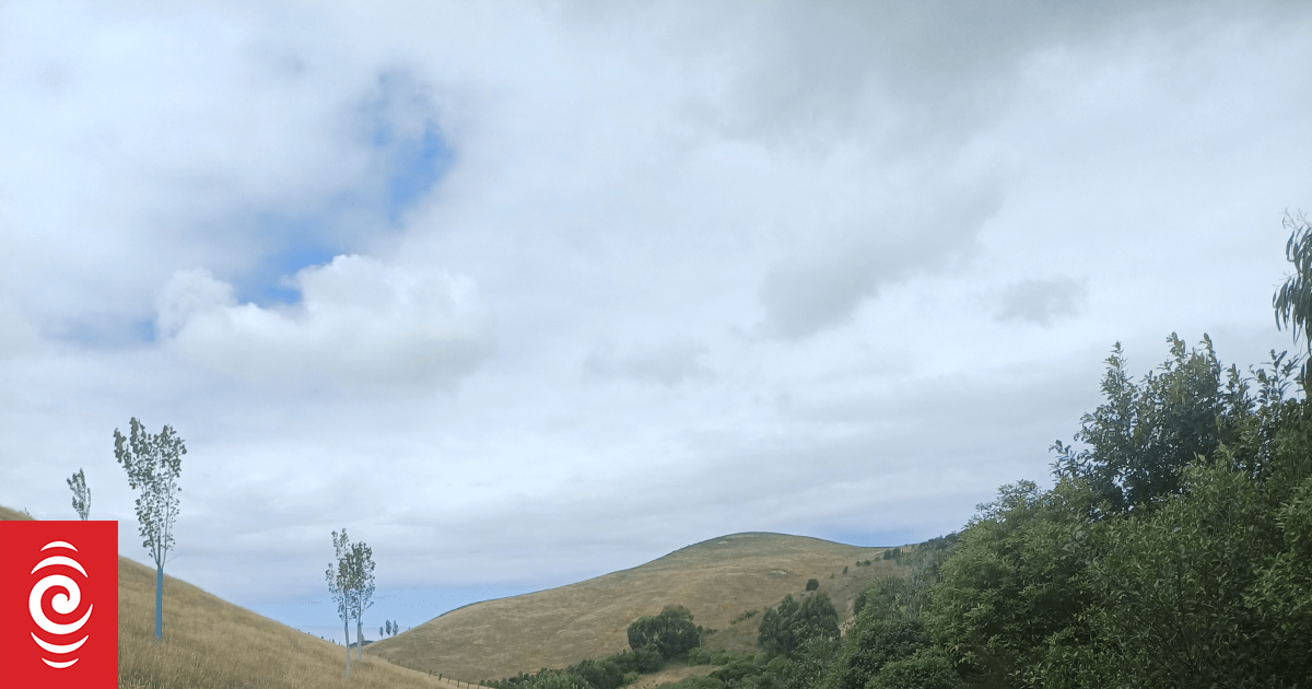 Moment of Calm: Country Stroll | RNZ