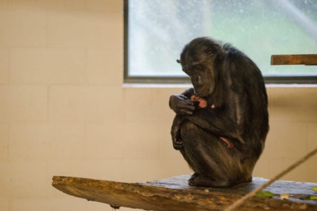 New mum Sanda with her baby daughter